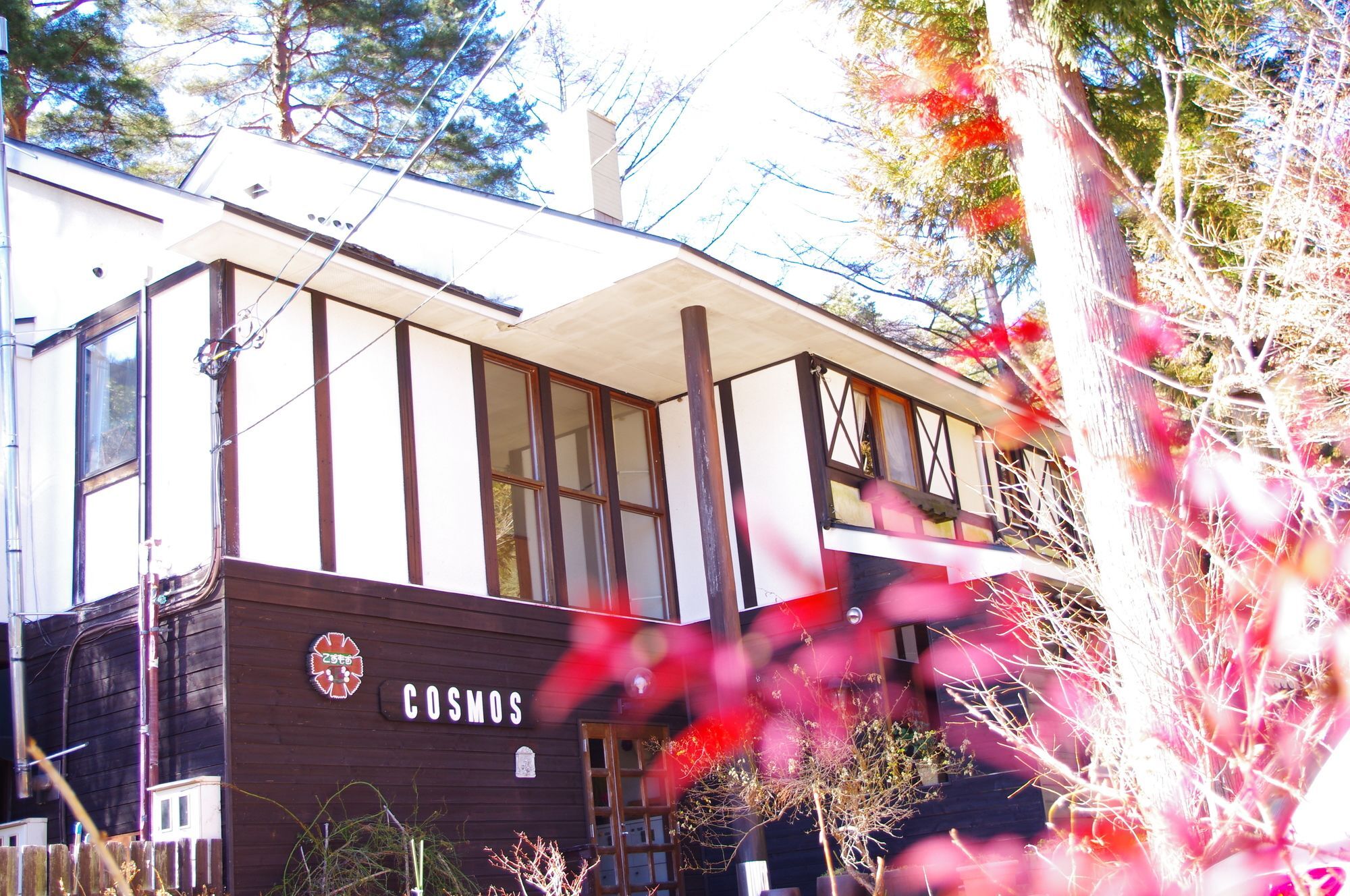 Forest Resort Cosmos Fujikawaguchiko Eksteriør bilde
